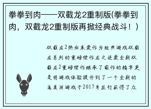 拳拳到肉——双截龙2重制版(拳拳到肉，双截龙2重制版再掀经典战斗！)